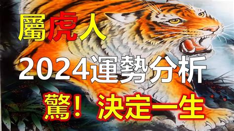 屬虎今年運勢|2024年屬虎人全年整體運勢